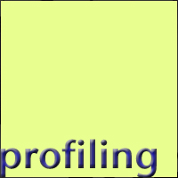 Profiling: Cultural-linguistic support for overseas students Project Logo